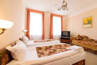 Отель Hotel Irena Львов Стандартный номер-студио-6