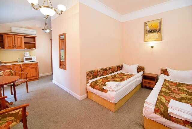 Отель Hotel Irena Львов-33